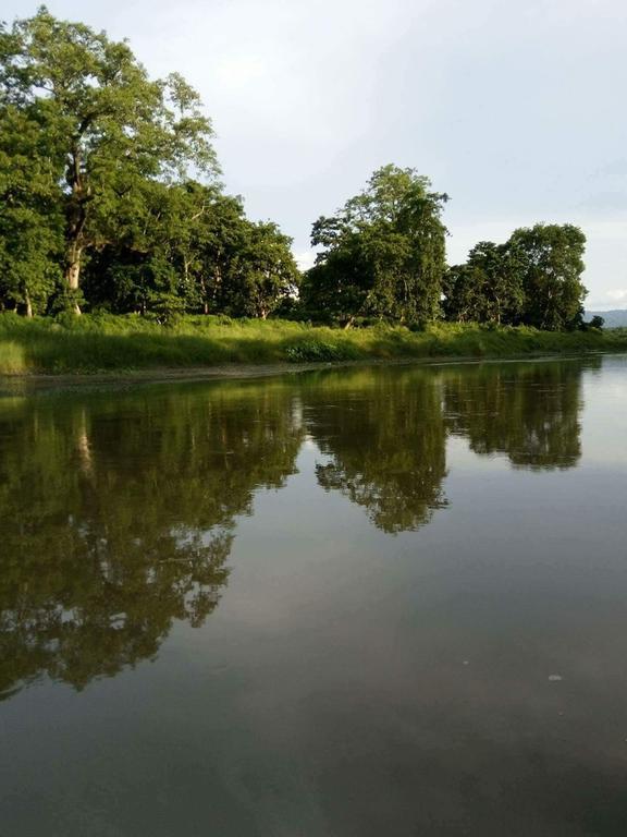 Unique Wild Resort Sauraha Εξωτερικό φωτογραφία