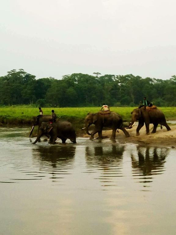 Unique Wild Resort Sauraha Εξωτερικό φωτογραφία