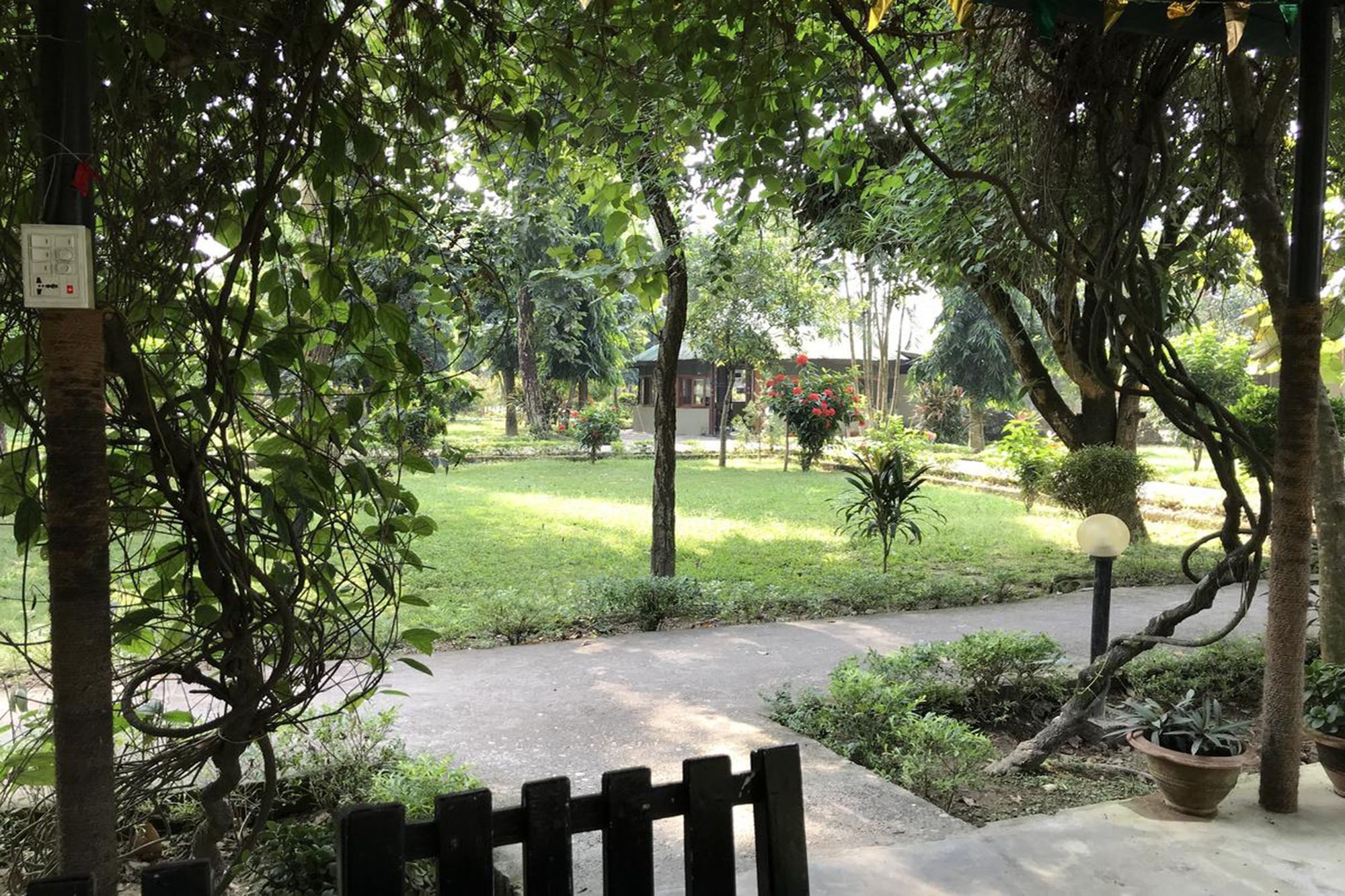Unique Wild Resort Sauraha Εξωτερικό φωτογραφία