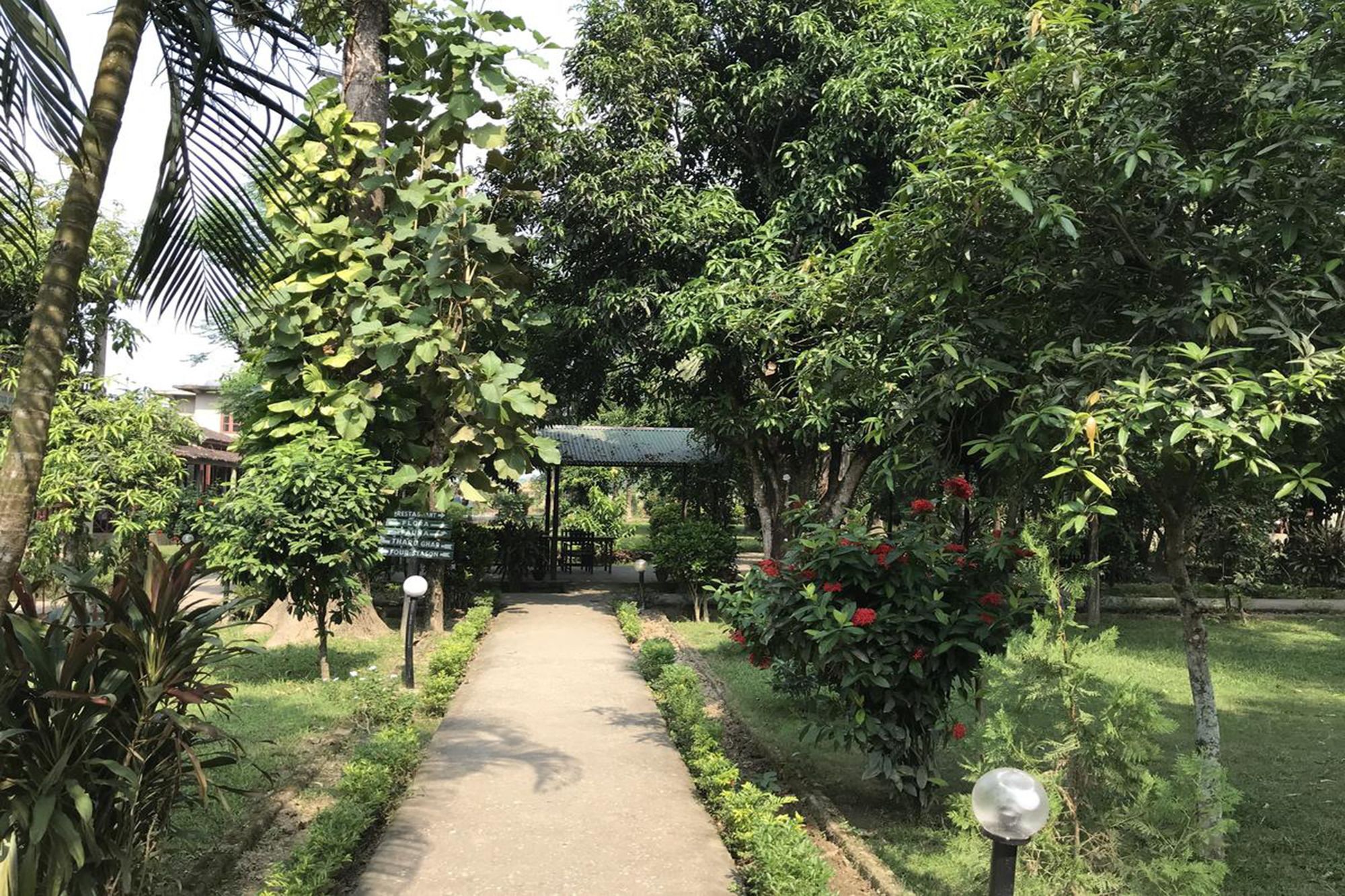 Unique Wild Resort Sauraha Εξωτερικό φωτογραφία