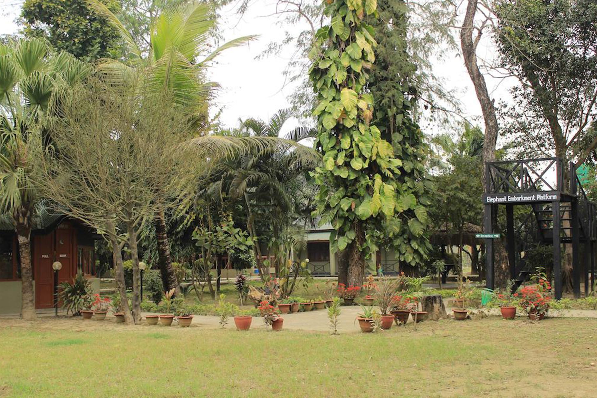 Unique Wild Resort Sauraha Εξωτερικό φωτογραφία
