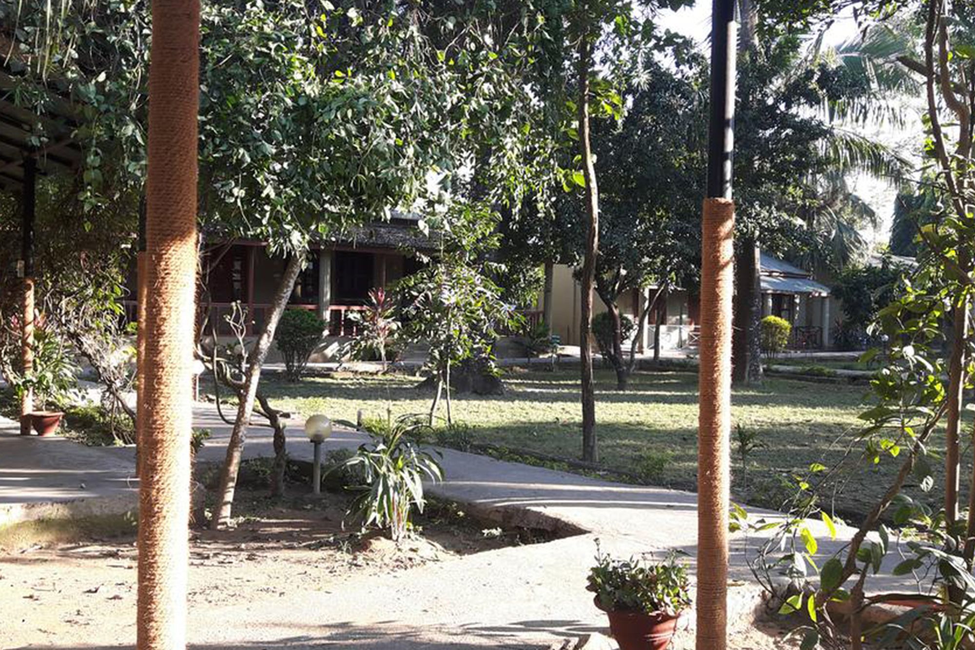 Unique Wild Resort Sauraha Εξωτερικό φωτογραφία