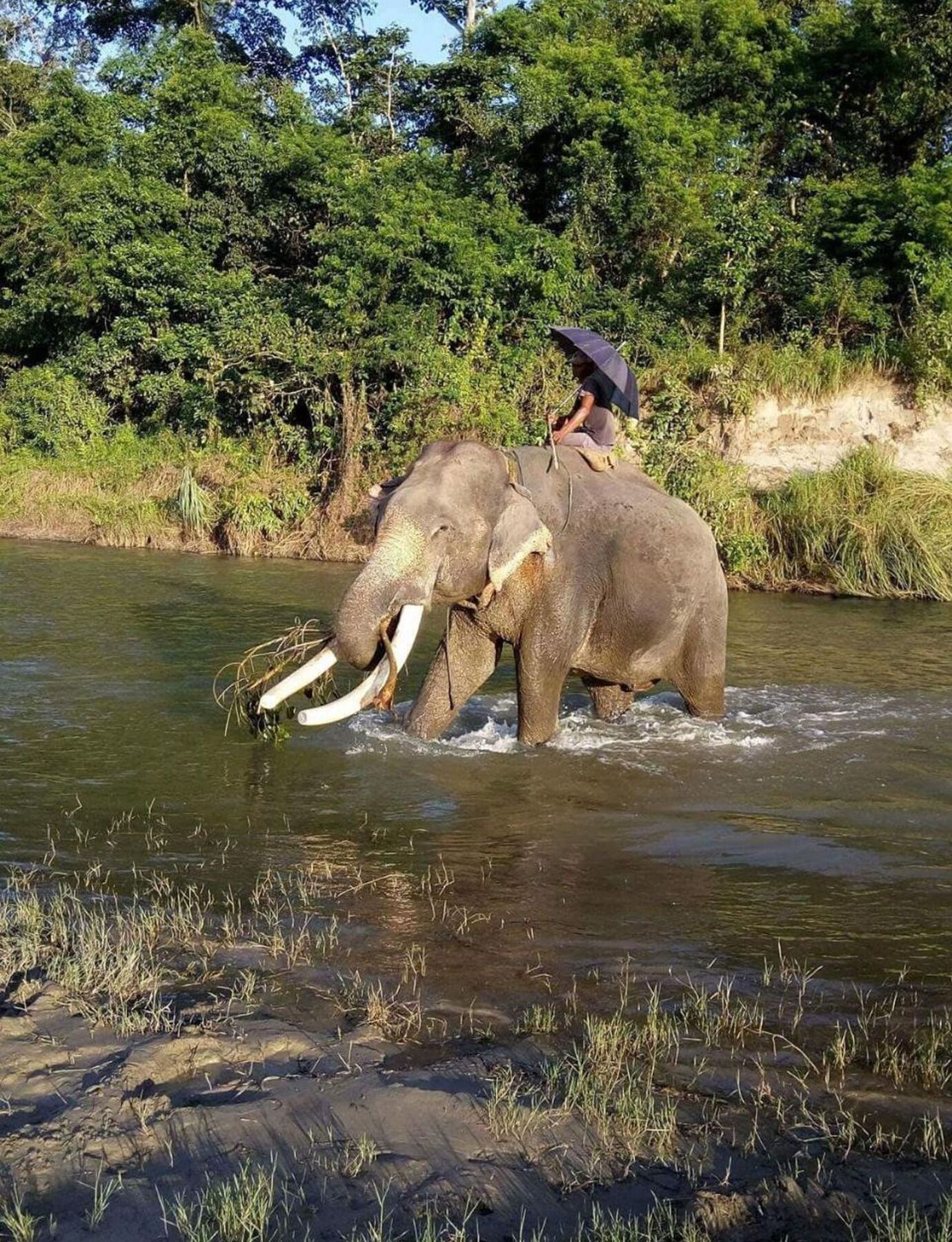 Unique Wild Resort Sauraha Εξωτερικό φωτογραφία